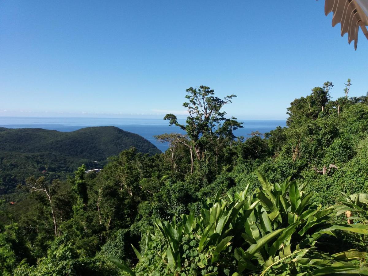 Beausejour Guest House 黑角 外观 照片