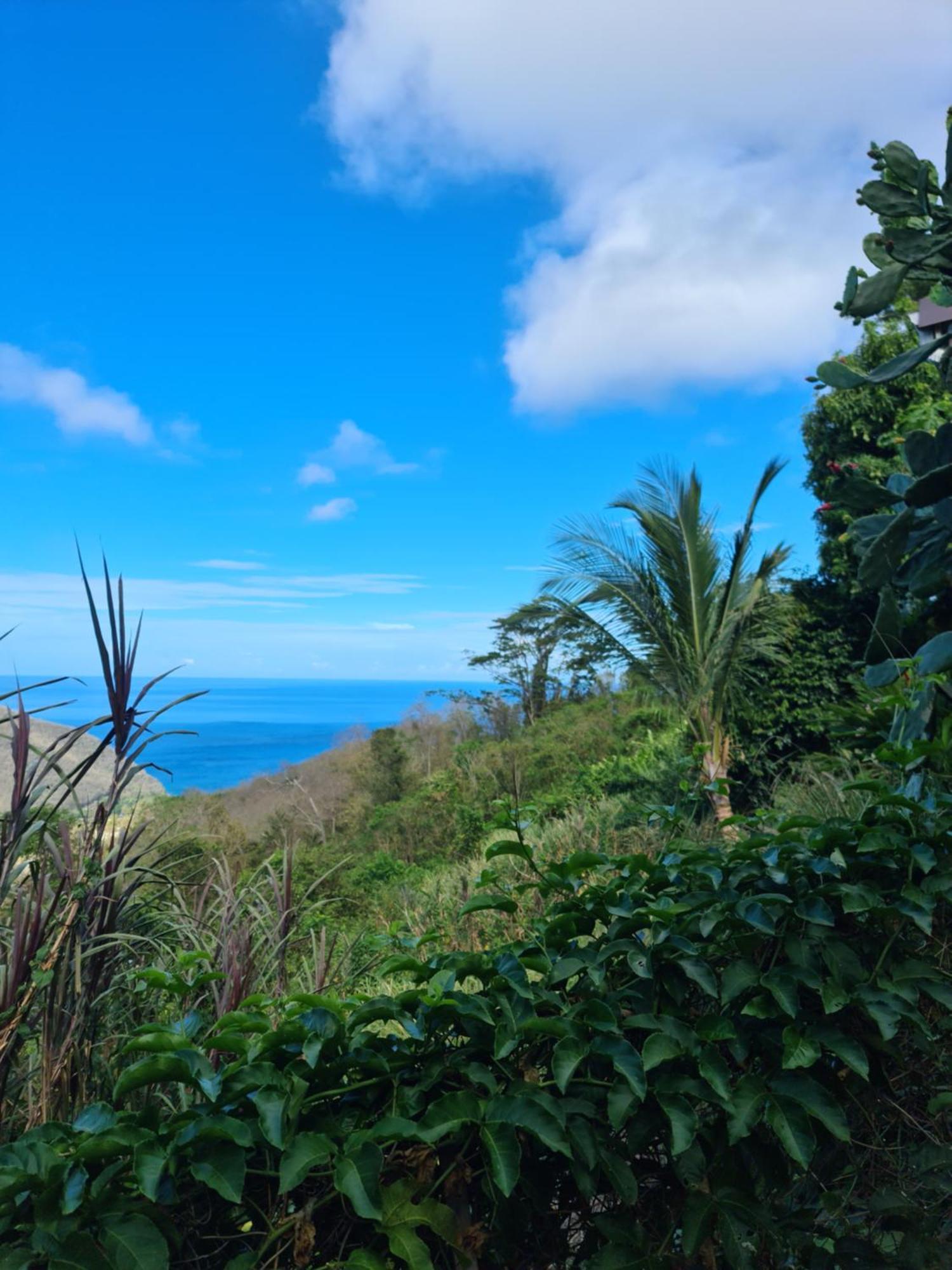 Beausejour Guest House 黑角 外观 照片
